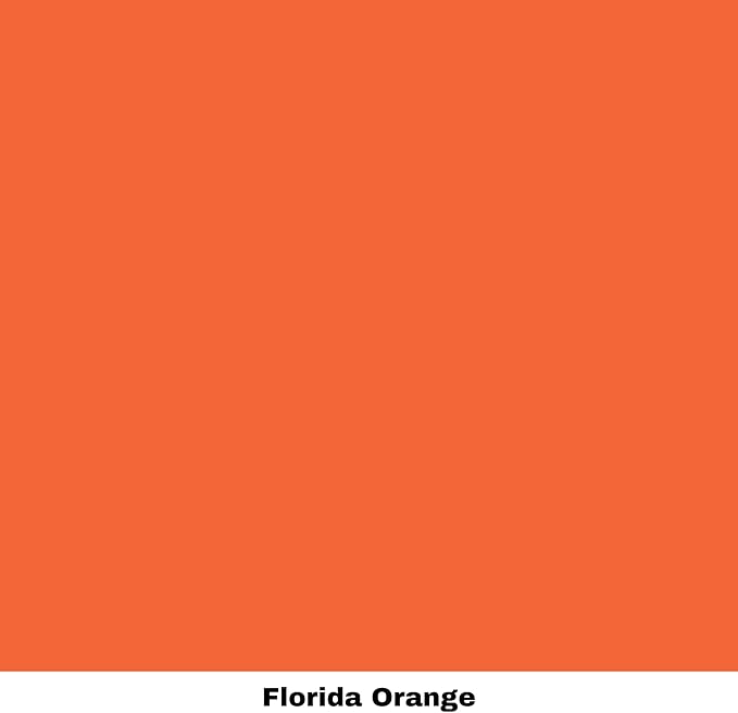 Dixie Belle Paint Company Chalk Finish Furniture Paint - Florida Orange (4oz) - Matte Bright Orange Chic Chalk Mineral DIY Furniture Paint