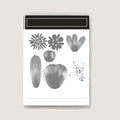 2025-2026 Stamps and Dies for Card Making, Stamps and Dies Set 2025 for Christmas and Halloween, Die Cut DIY Various Festivals Album Scrapbooking Birthdays Greeting Card (M4308)