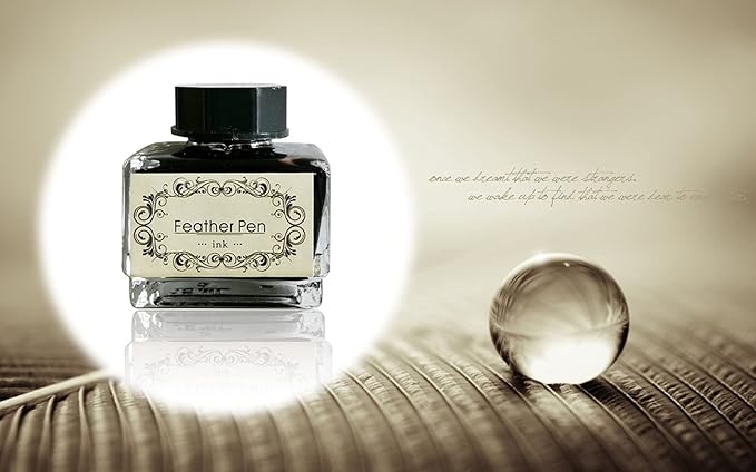 Black Calligraphy Ink No Carbon No Blocking Fountain Pen Ink Suitable for Feather Pen Quill Pen Dip Pen Calligraphy Pen Painting Pen 15ml