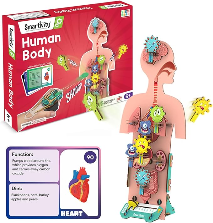 Smartivity Human Body Model for Kids 6-12 Years | Learn Body Organs, Functions with Fun Card Games | Cool Birthday Gift for Boys & Girls | DIY STEM Science Toys for Kids 6,7,8,9,10,11,12 Years I