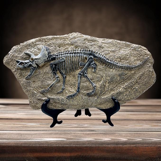 XINDAM Resin Triceratops Dinosaur Fossil Statue Model Simulated Skeleton Home Office Display Decorative Craft Box Decoration (Style 6)