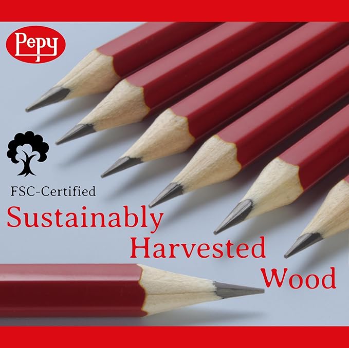 Pepy Graphite Professional Drawing Pencils - Set of 12 2H Pre-Sharpened Black Lead Pencils; Perfect for Drawing, Sketching and Shading, Graphic and Fine Art