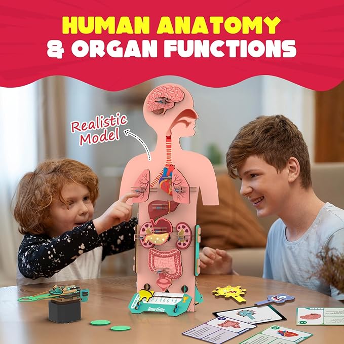Smartivity Human Body Model for Kids 6-12 Years | Learn Body Organs, Functions with Fun Card Games | Cool Birthday Gift for Boys & Girls | DIY STEM Science Toys for Kids 6,7,8,9,10,11,12 Years I