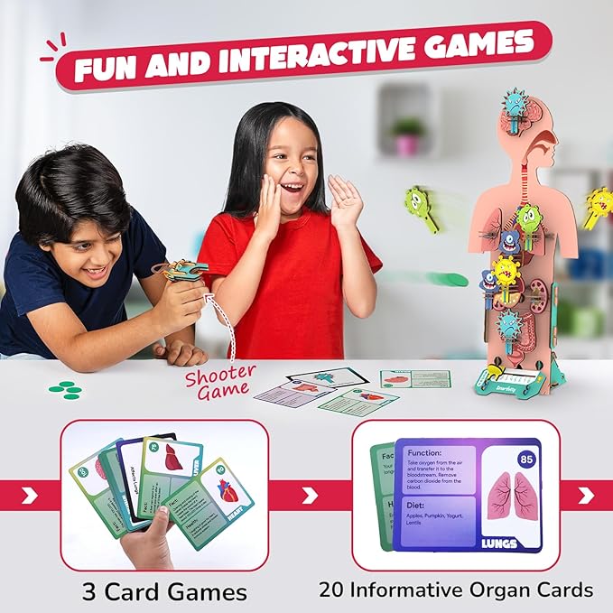 Smartivity Human Body Model for Kids 6-12 Years | Learn Body Organs, Functions with Fun Card Games | Cool Birthday Gift for Boys & Girls | DIY STEM Science Toys for Kids 6,7,8,9,10,11,12 Years I