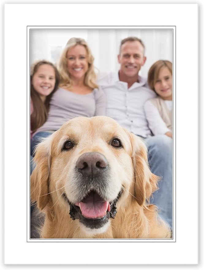 18x24 Mat for 12x18 Photo - Precut White on White Double Mat Picture Matboard for Frames Measuring 18 x 24 Inches - Bevel Cut Matte to Display Art Measuring 12 x 18 Inches - Acid Free ONE MAT