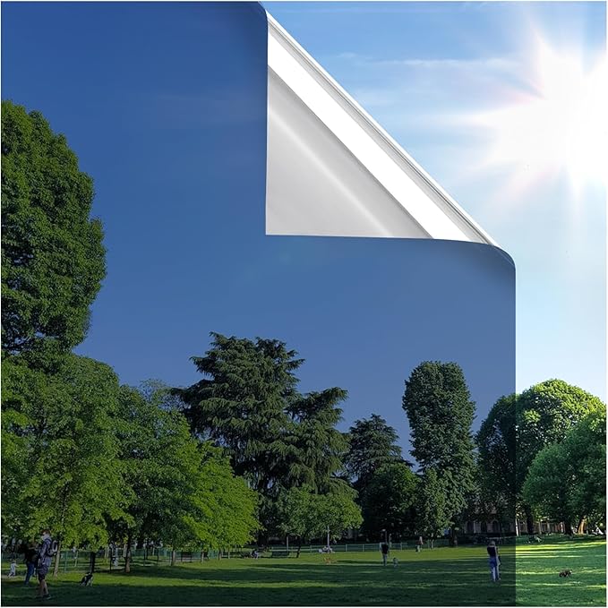 rabbitgoo Window Privacy Film One Way Window Tint for Home, Removable Reflective Heat Sun Blocking Anti UV Glass Door Covering, Mirror Tinting Film House Office, 35.4 in X 9.8 Feet, Blue Silver