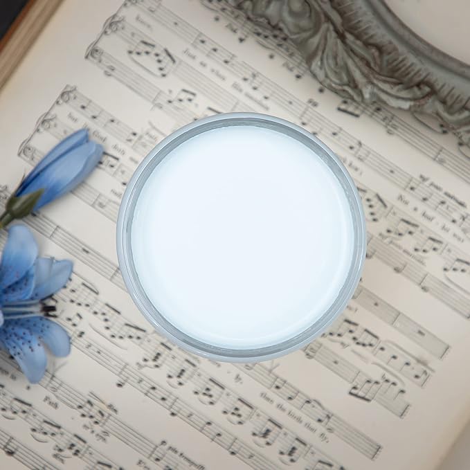 Dixie Belle Paint Company Chalk Finish Furniture Paint - Haint Blue (32oz) - Matte Pastel Blue Chic Chalk Mineral DIY Furniture Paint