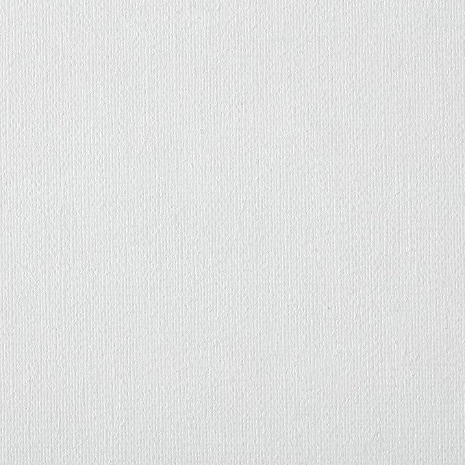 Centurion Deluxe Professional Oil Primed Linen Stretched Canvas, 11oz Linen, 12x36 - Box of 6, 0.67" Deep Canvases, Kiln-Dried Stretchers, Back Stapled, Premium Medium Weight Canvas for Oil Paintings