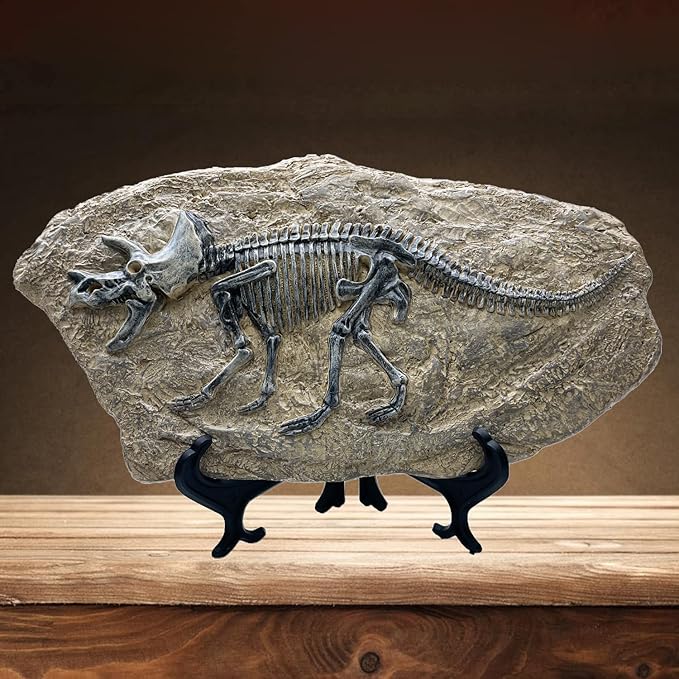 XINDAM Resin Triceratops Dinosaur Fossil Statue Model Simulated Skeleton Home Office Display Decorative Craft Box Decoration (Style 6)