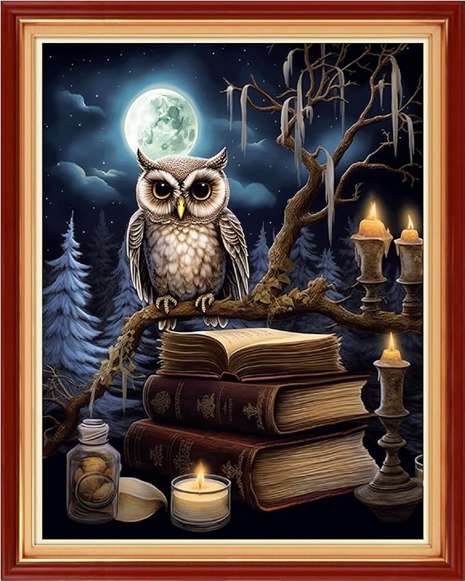 Redxing Stamped Cross Stitch Kits Full Range of Embroidery Starter Kits- Needlepoint Counted Cross Stitch Kits for Beginner Adults 11CT Printed Embroidery Kit-Owl Moon 16x20 inch
