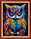 Foxdiviy Stamped Cross Stitch Kits for Beginners Full Range of Cross Stitching 11 CT Printed Cross Stitch Kits for Kids Adults Cross Stitch Patterns Needlepoint Kits-Colorful Owl 16x20 inch