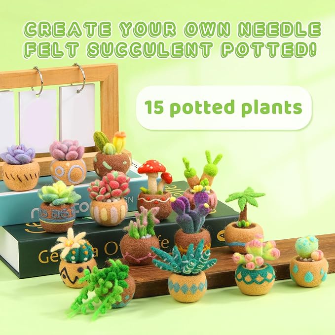Needle Felting Kit, 15 Pcs Succulent Beginner Needle Felting Kit, Needle Felting Tools, Wool Felting Kit Including Wool Roving, Foam Mat, Felting Needles and Instructions for Diy Felting Starters