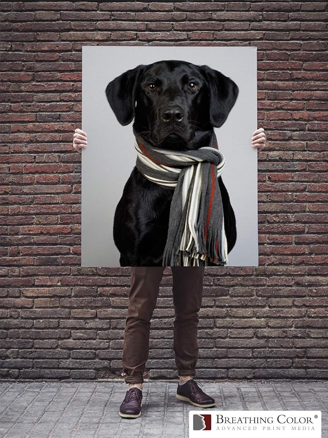 Premium Lyve Matte Canvas Paper Perfect For Use on Professional Makes and Models of Epson, Canon and HP printers preferred by Professionals. 19 mil textured Canvas offered in a 36 inch by 40 ft roll