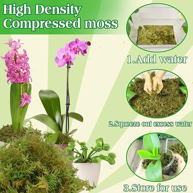 Halatool 9OZ Green Moss for Potted Plants, 12QT Orchid Moss Potting Mix, Forest Moss for Indoor Plants, Indoor Potting Plant Moss for Repotting Terrariums Garden Reptiles