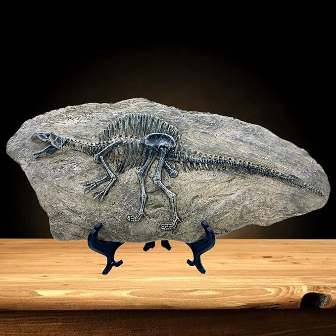 XINDAM Resin Spinosaurus Dinosaur Fossil Statue Model Simulated Skeleton Home Office Display Decorative Craft Box Decoration (Style 8)